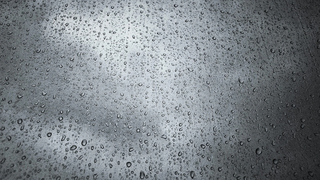 雨漏れによる家への影響と損害